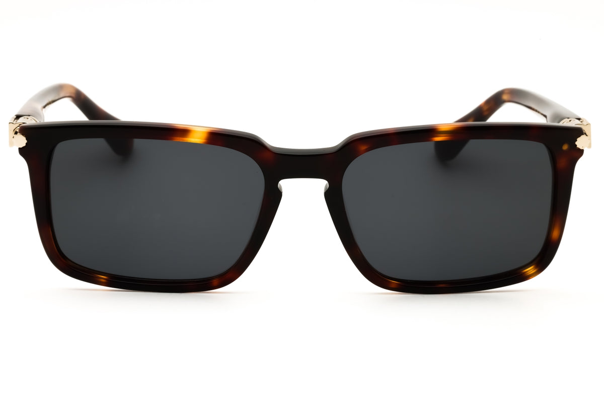 Salvatore Ferragamo SF1110S Sunglasses
