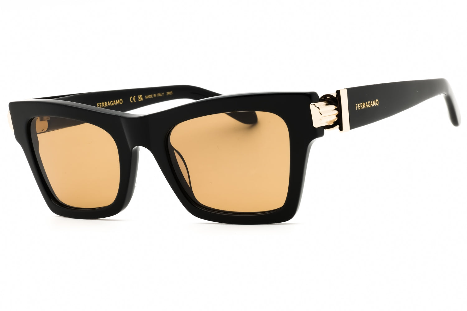Salvatore Ferragamo ,  Frame and  Lens