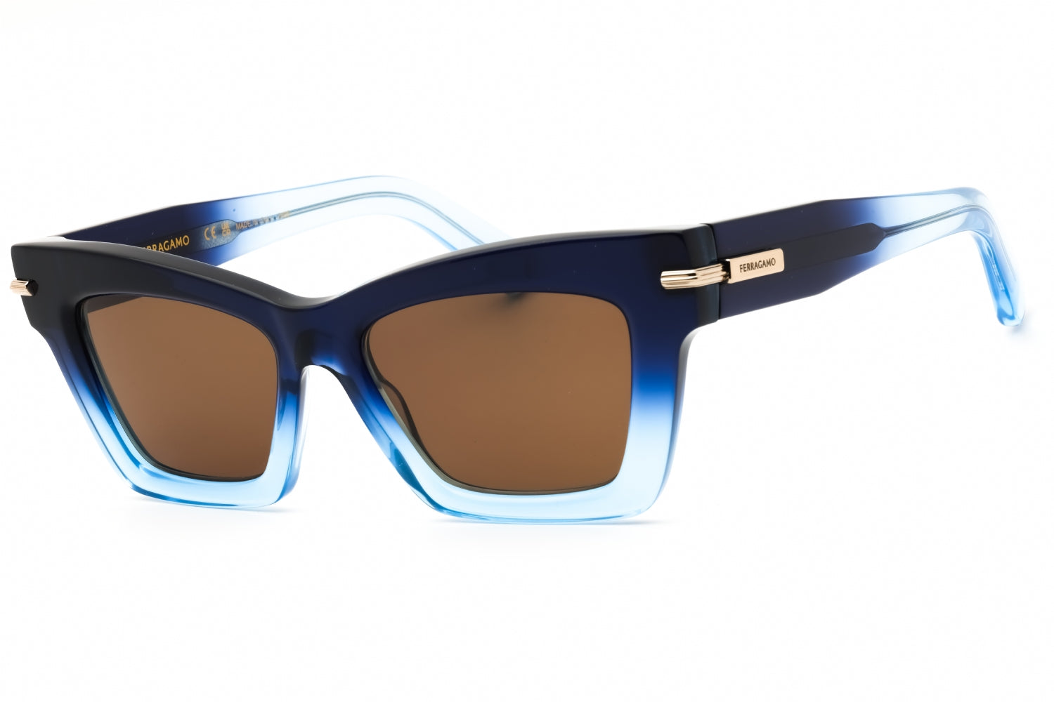 Salvatore Ferragamo Salvatore Ferragamo SF2031S Sunglasses