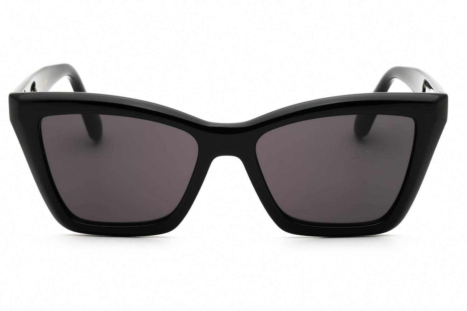 Salvatore Ferragamo Salvatore Ferragamo SF2039SE Sunglasses