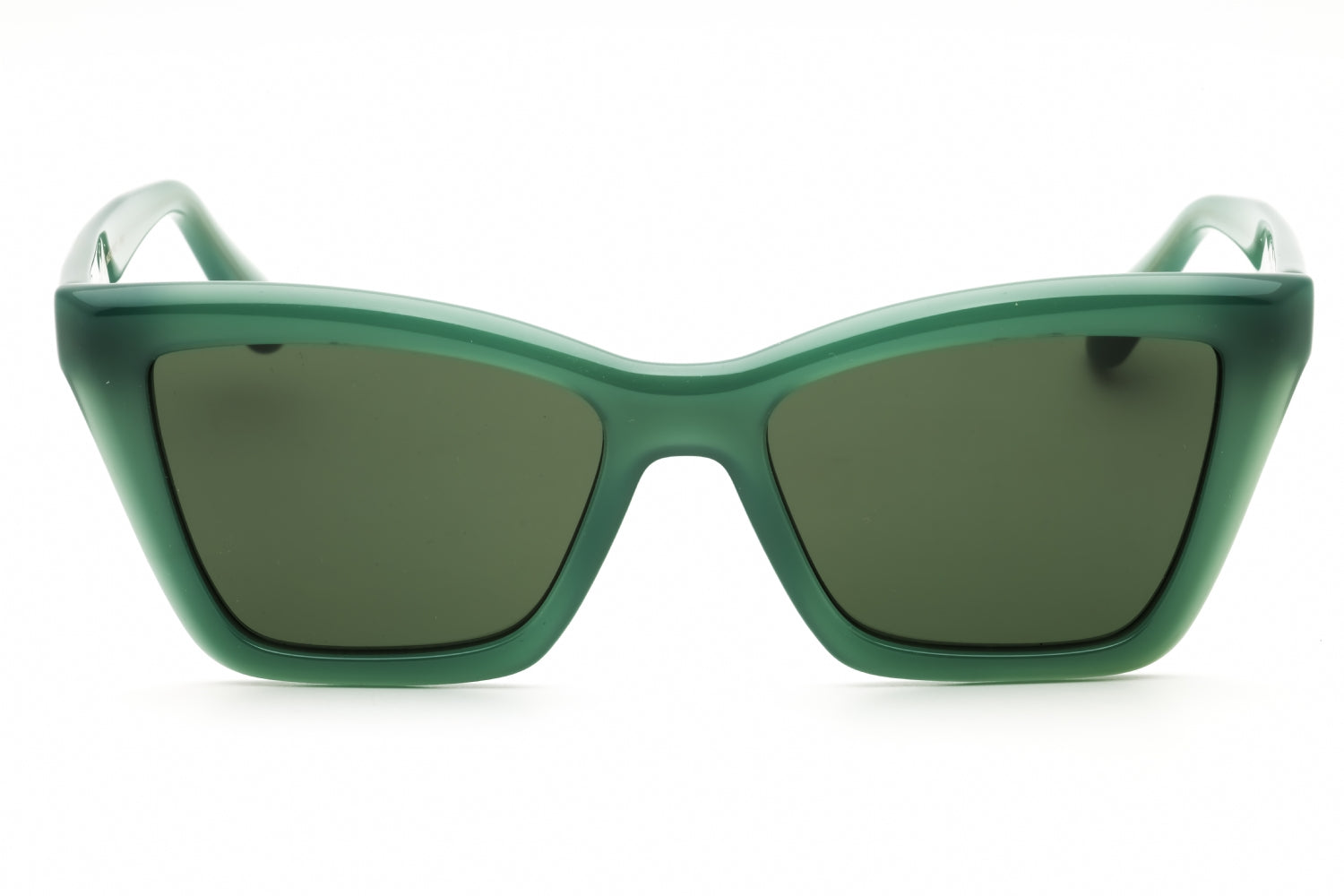 Salvatore Ferragamo Salvatore Ferragamo SF2039SE Sunglasses