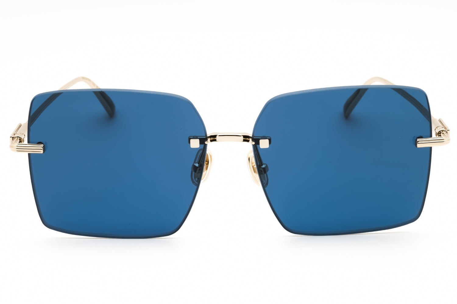 Salvatore Ferragamo Salvatore Ferragamo SF311S Sunglasses