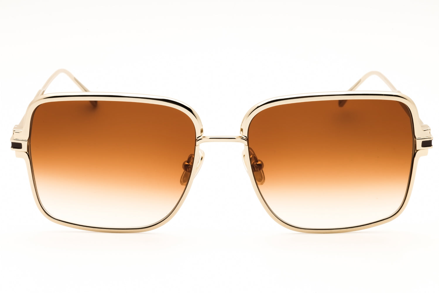 Salvatore Ferragamo Salvatore Ferragamo SF317S Sunglasses