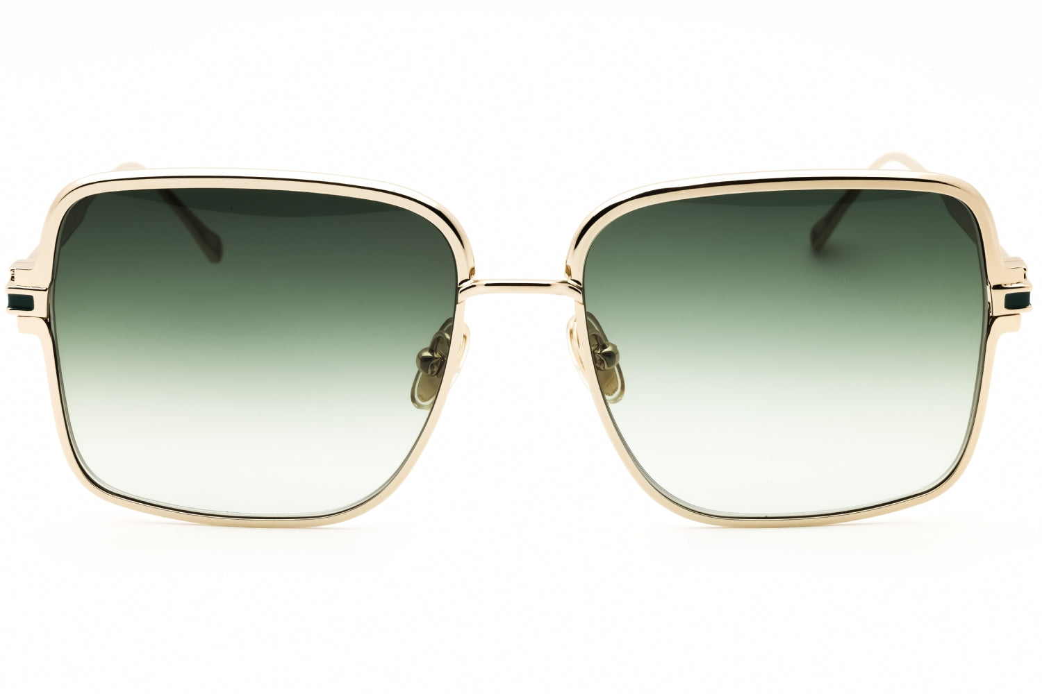 Salvatore Ferragamo Salvatore Ferragamo SF317S Sunglasses