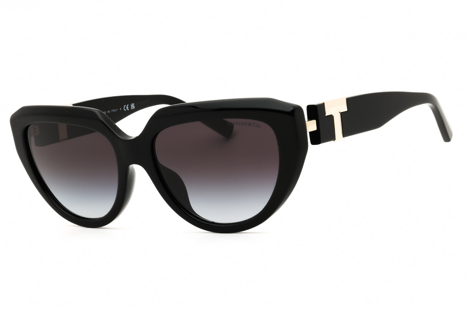 Tiffany Tiffany 0TF4238U Sunglasses