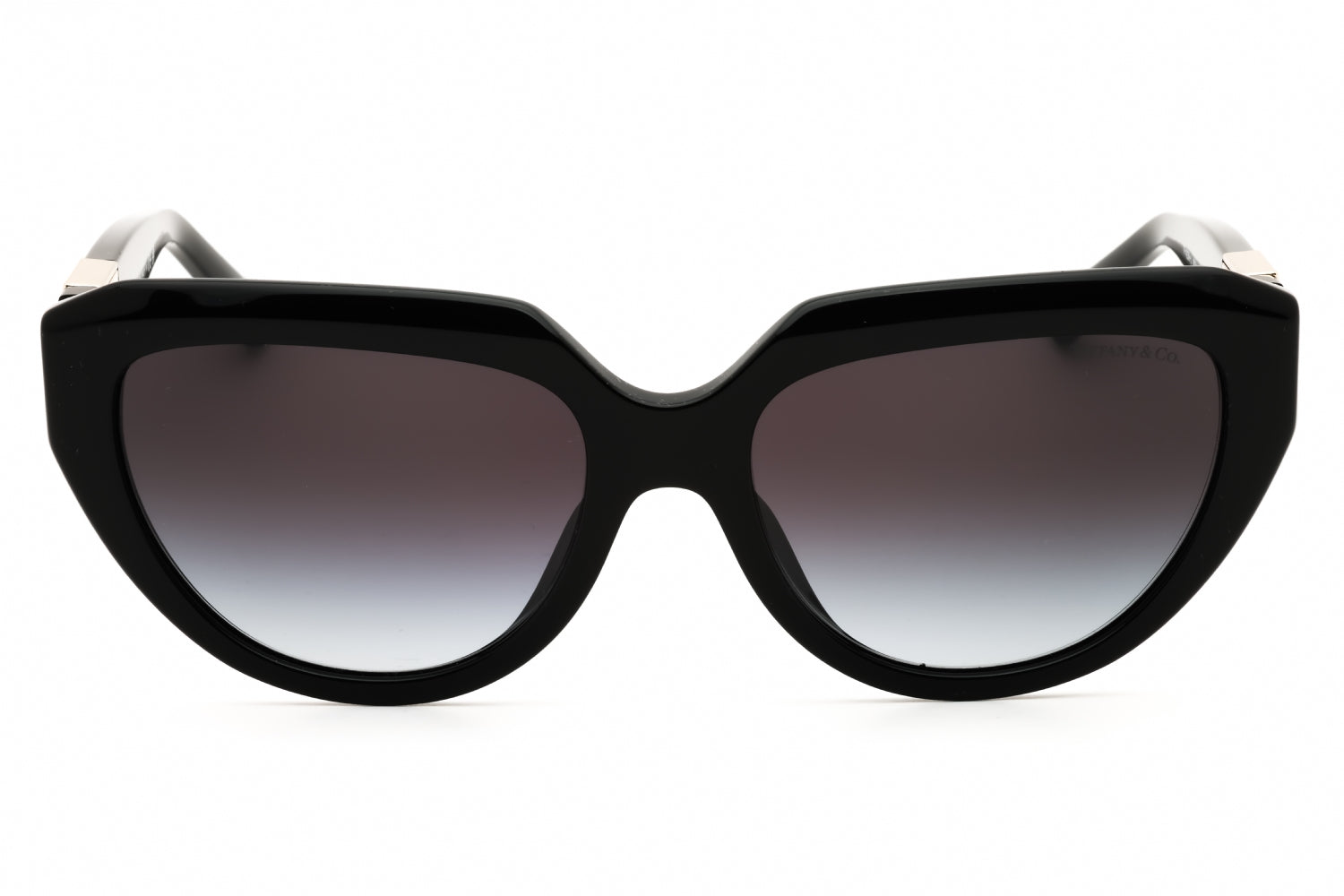 Tiffany Tiffany 0TF4238U Sunglasses