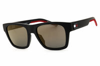 Tommy Hilfiger Tommy Hilfiger TH 1975/N/S Sunglasses