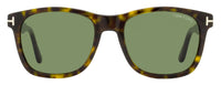 Tom Ford Eric-02 Sunglasses TF595 52N Dark Havana 55mm FT0595