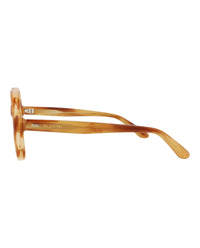 Valentino Unisex Round/Oval Havana Havana Transparent Fashion Designer Eyewear