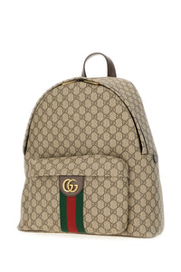 Gucci Man Bags Backpacks