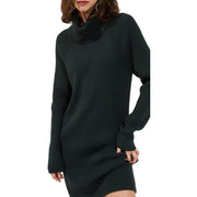 Womens Knit Turtleneck Sweaterdress