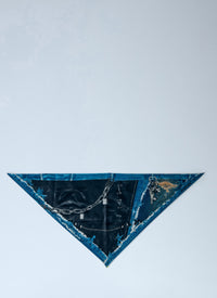 Acne Studios Women Printed Silk Scarf