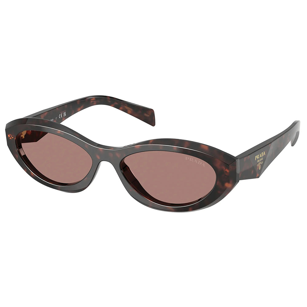 PR 26ZS 17N60B 55mm Womens Oval Sunglasses