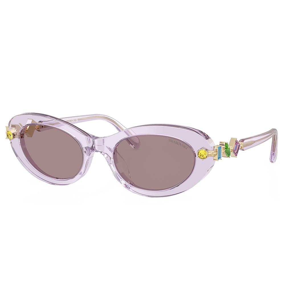 SK 6042 1079LA 53mm Womens Oval Sunglasses