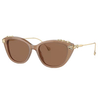 SK 6010 2002OK 53mm Womens Cat-Eye Sunglasses