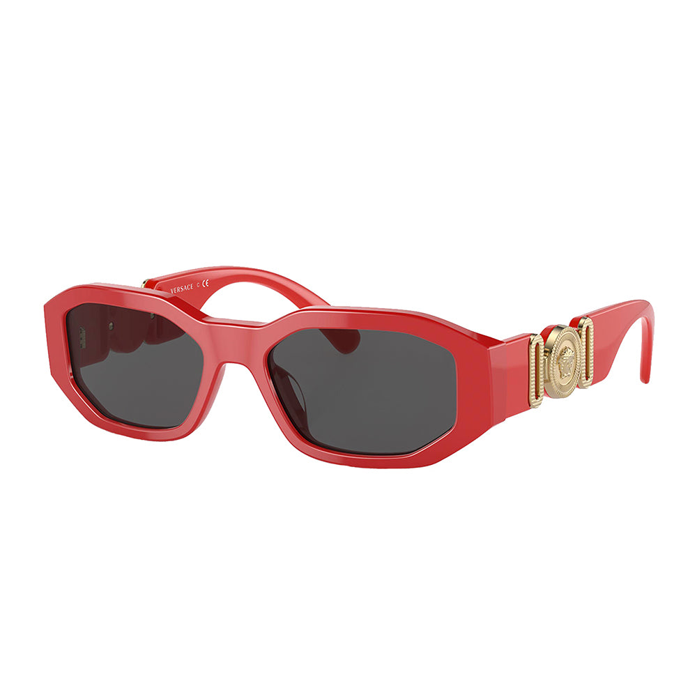 VK 4429U 506587 48mm Unisex Irregular Sunglasses