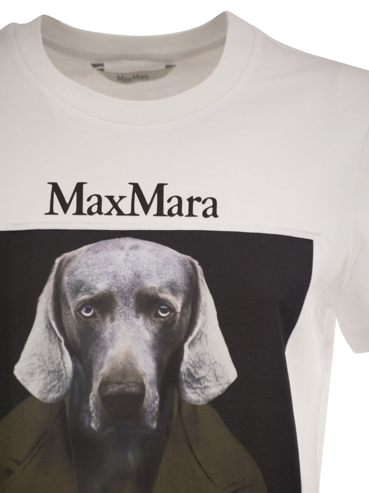 Max Mara Women Mxmcalca - Cotton T-Shirt With Max Mara Graphic Print