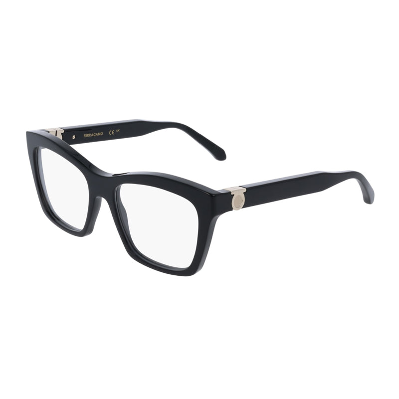 Salvatore Ferragamo ,  Frame and  Lens