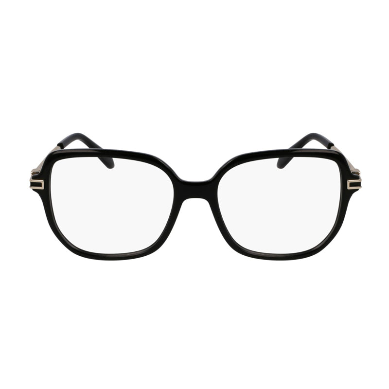 Salvatore Ferragamo ,  Frame and  Lens