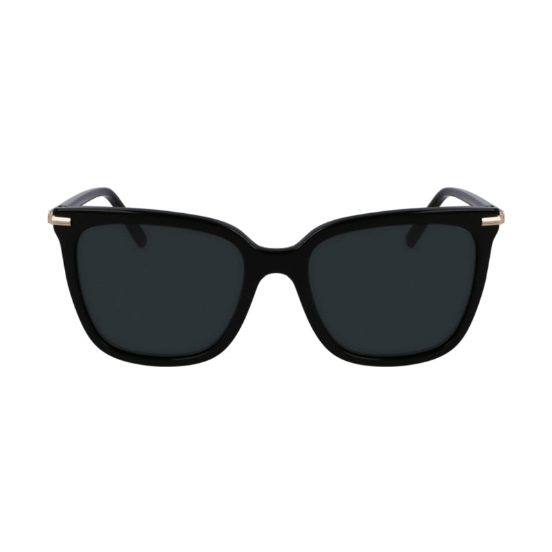 Salvatore Ferragamo ,  Frame and  Lens