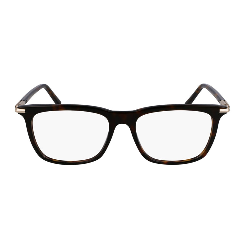 Salvatore Ferragamo ,  Frame and  Lens
