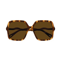 Chloe Chloe Sunglasses Square Full Rim, Havana Frame and Brown Lens CH0086S005