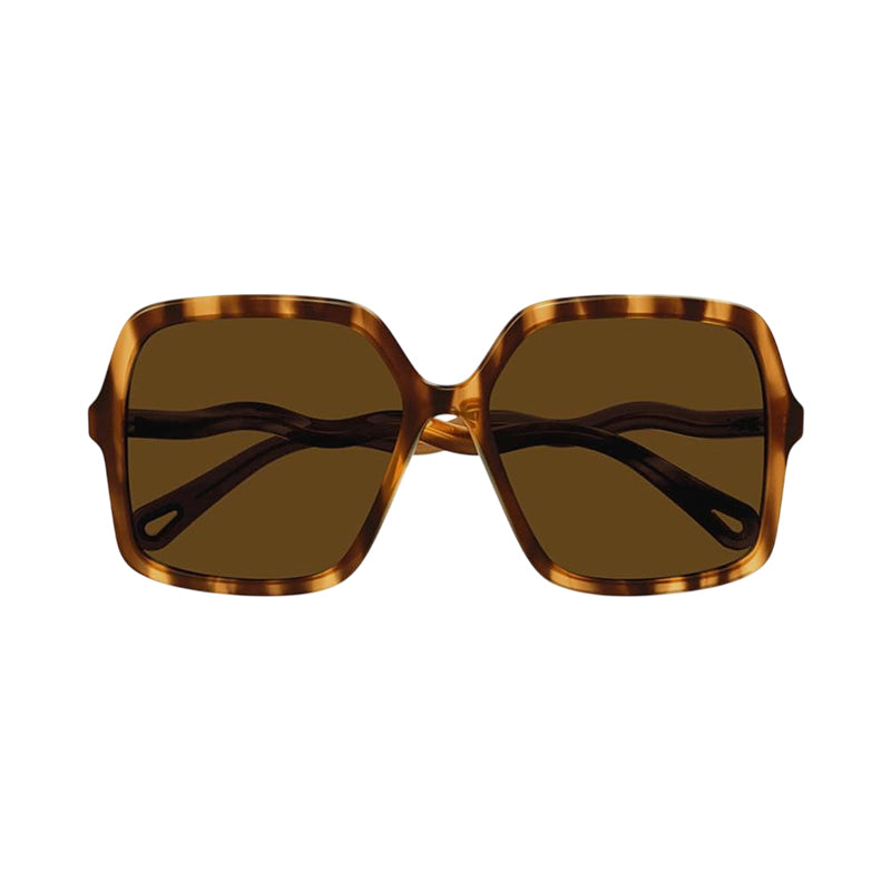 Chloe Chloe Sunglasses Square Full Rim, Havana Frame and Brown Lens CH0086S005