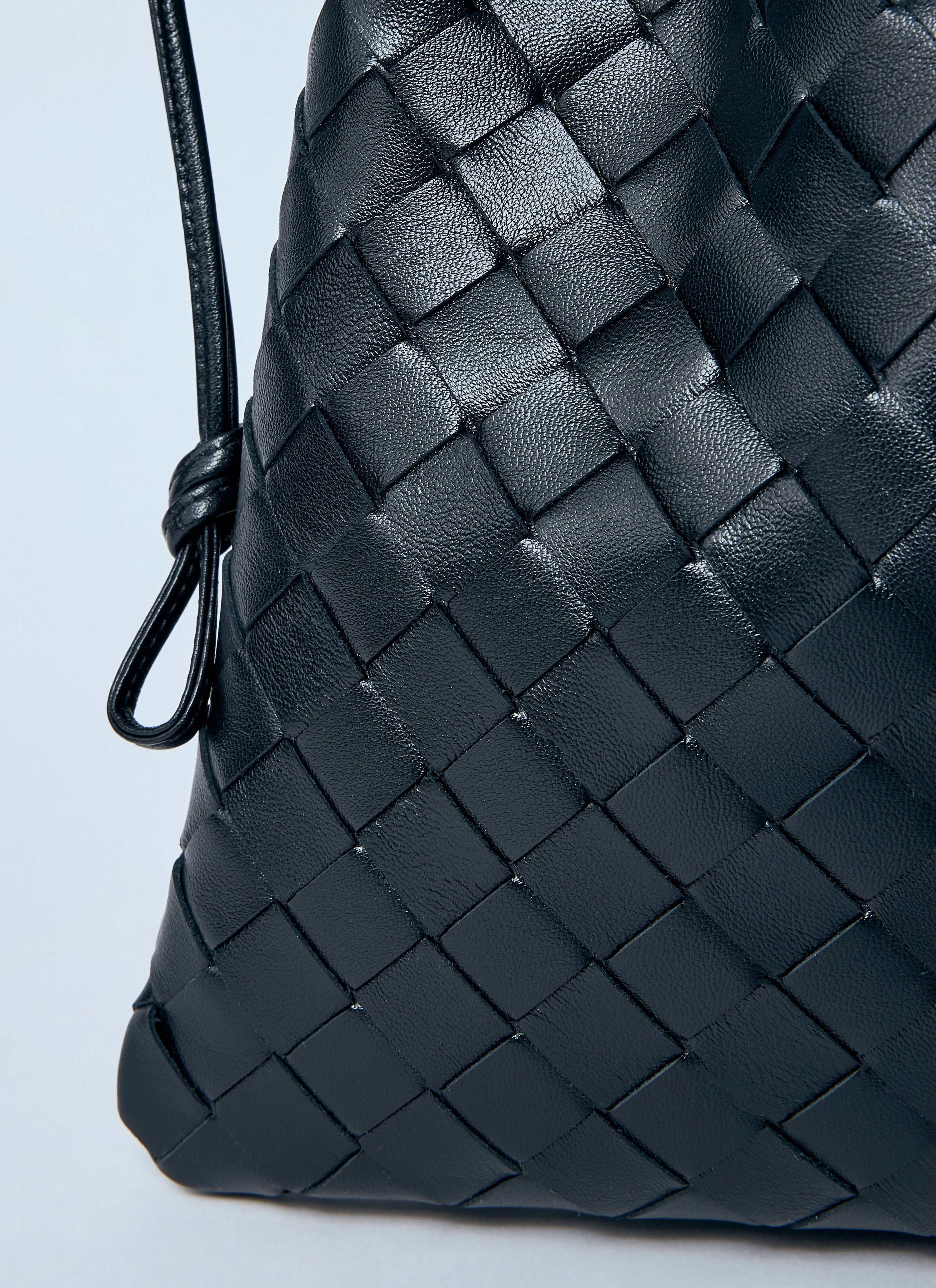 Bottega Veneta Bottega Veneta Women Intrecciato Dustbag