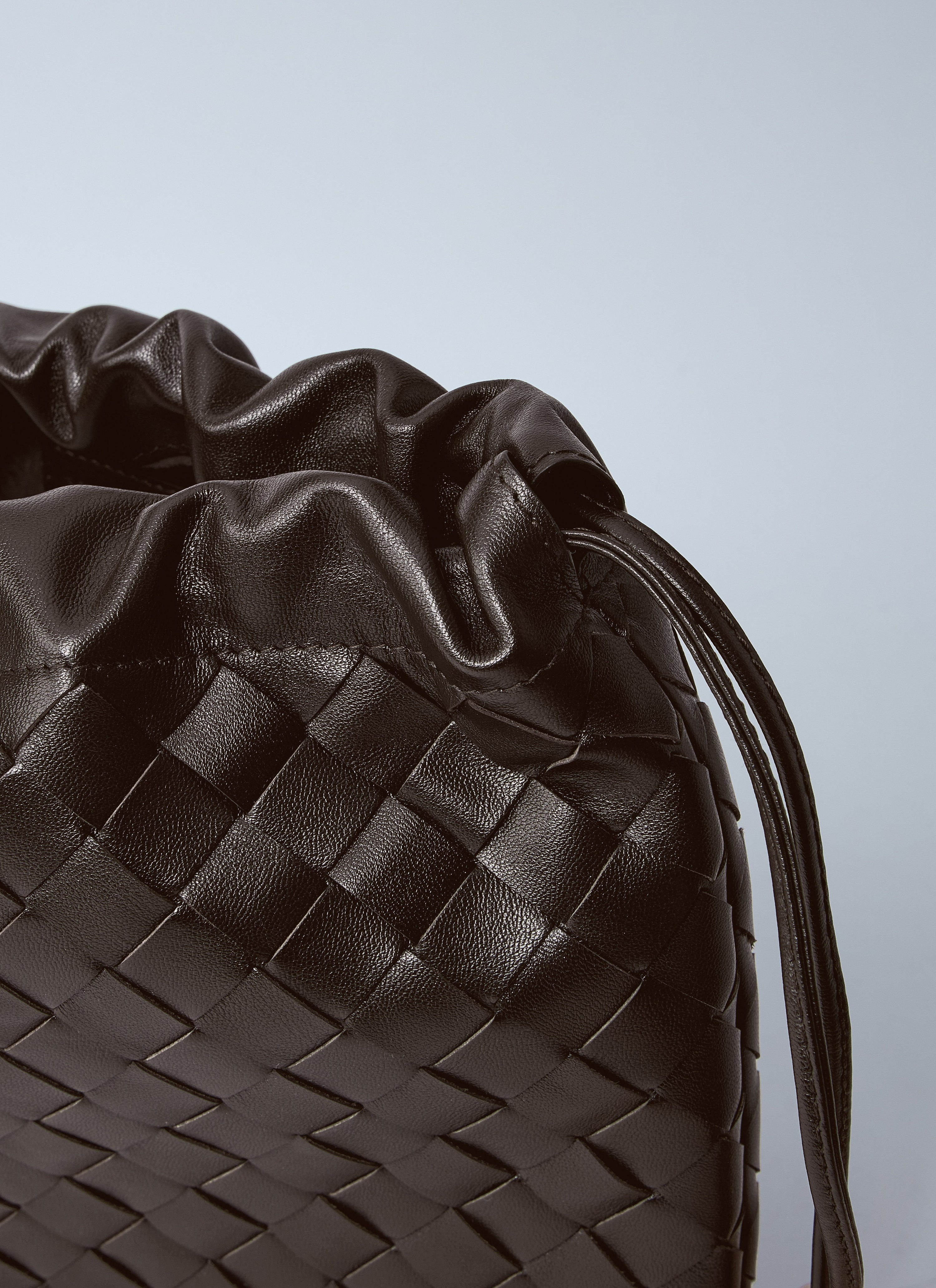Bottega Veneta Bottega Veneta Women Intrecciato Dustbag