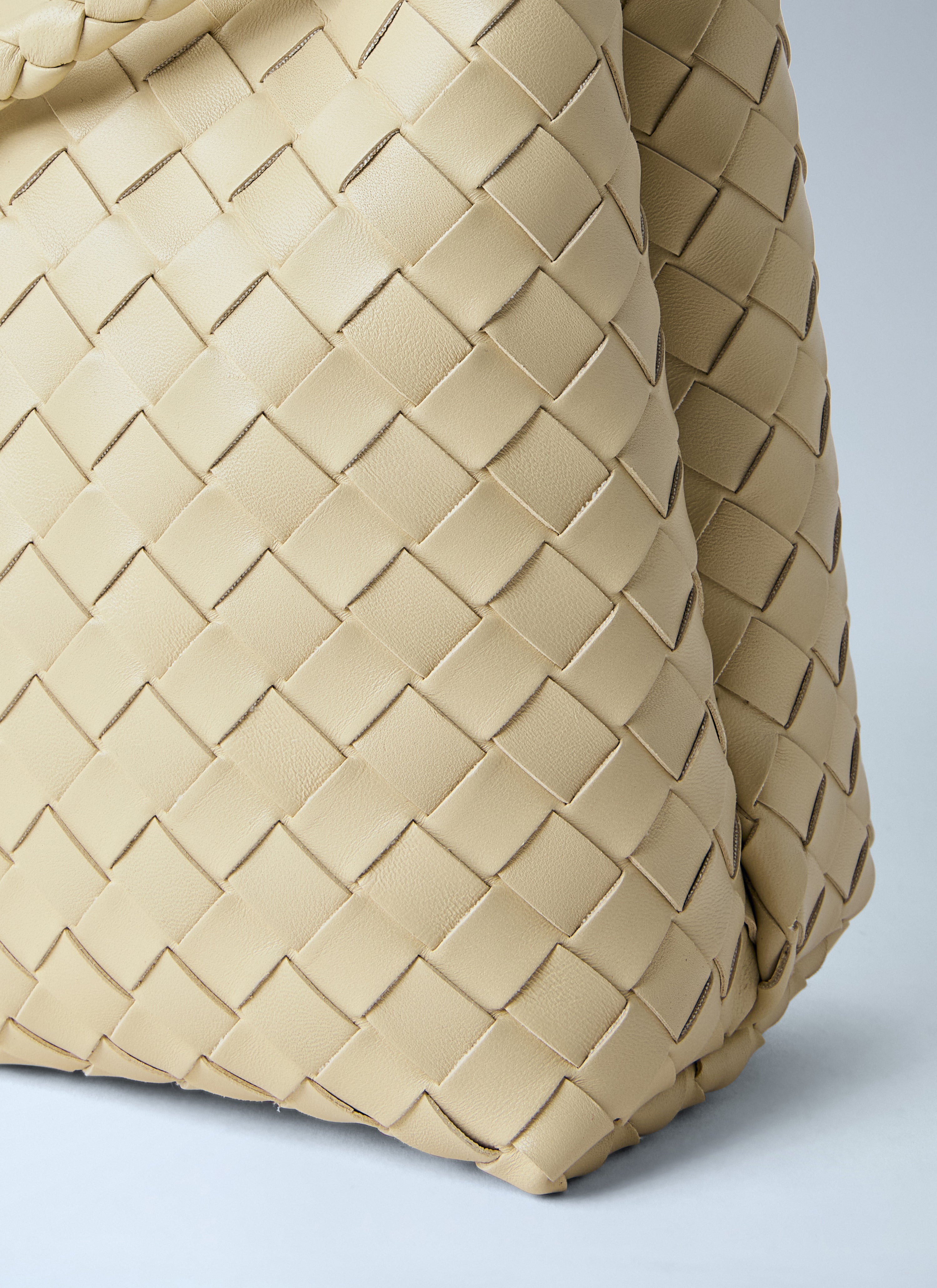 Bottega Veneta Women Andiamo Medium Handbag