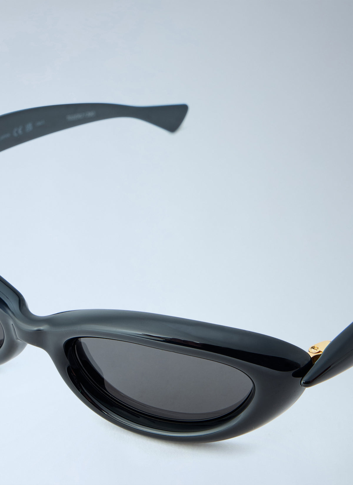 Bottega Veneta Women Sardine Oval Sunglasses