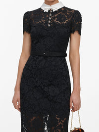Self-portrait Self-Portrait Women Lace Contrast Collar Midi Dress
