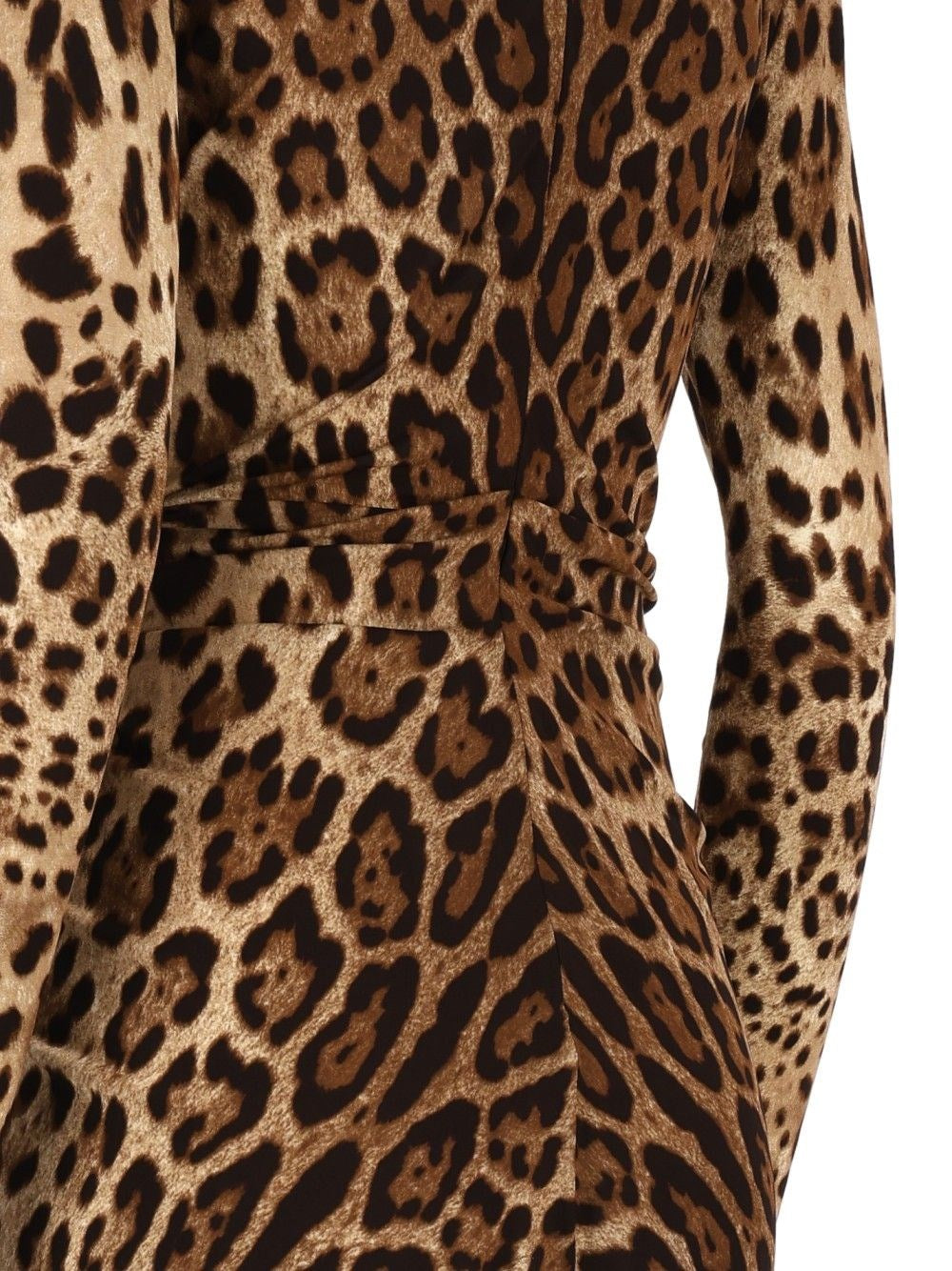 Dolce & Gabbana Women Viscose Jersey Dress With A Leopard Print