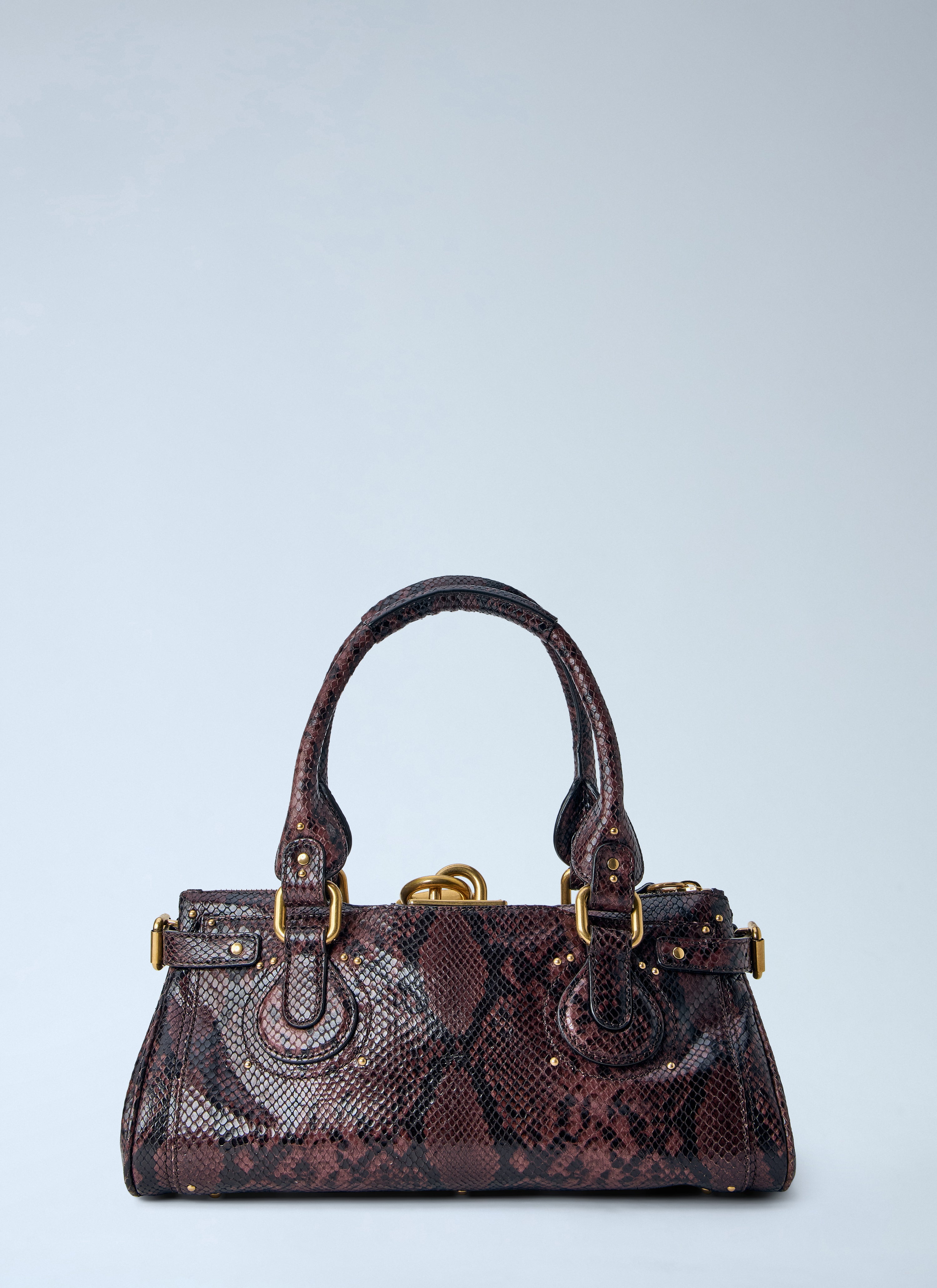 Chloé Chloé Women Paddington Embossed Python Effect Shoulder Bag