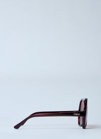 Chloé Women Ch0289s Sunglasses