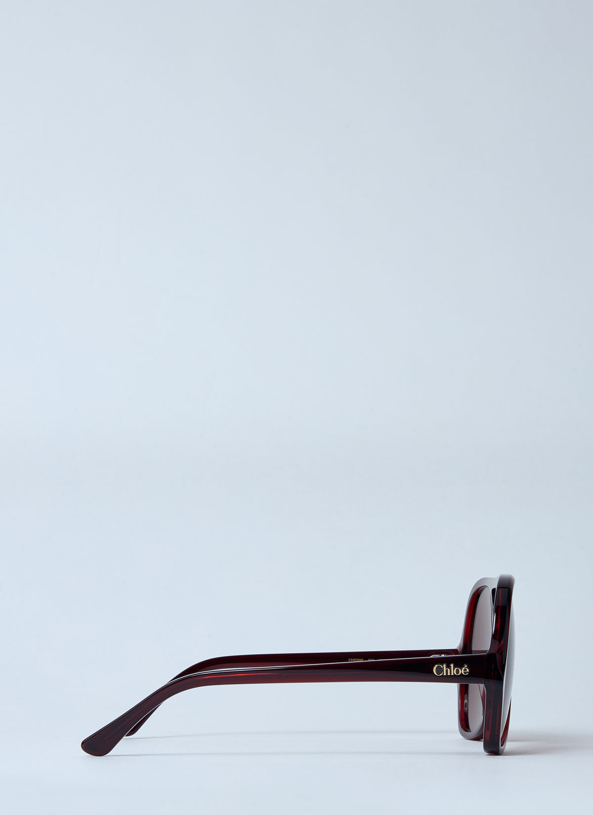Chloé Women Ch0289s Sunglasses