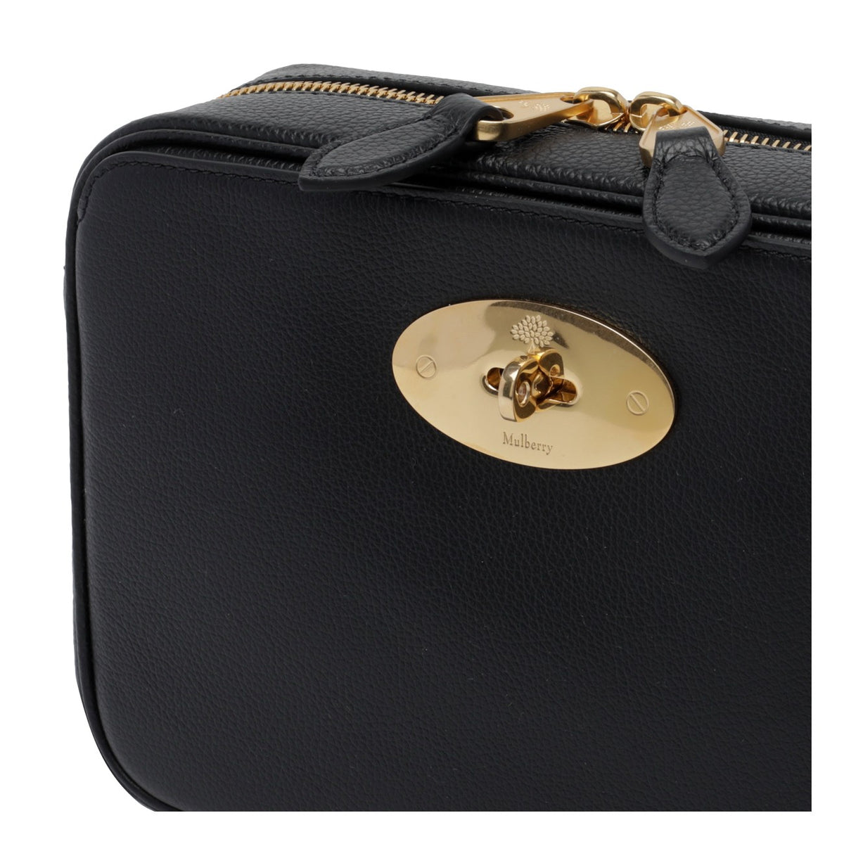 Mulberry Women Darley Camera Bag