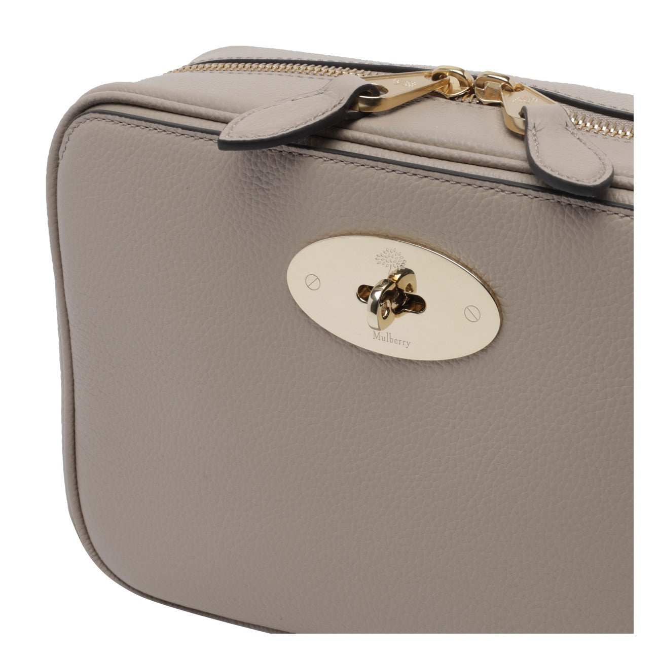 Mulberry Mulberry Women Darley Camera Bag