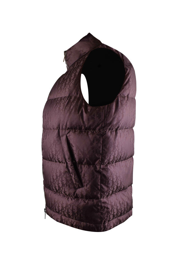 Dior Dior Men Oblique Down Vest