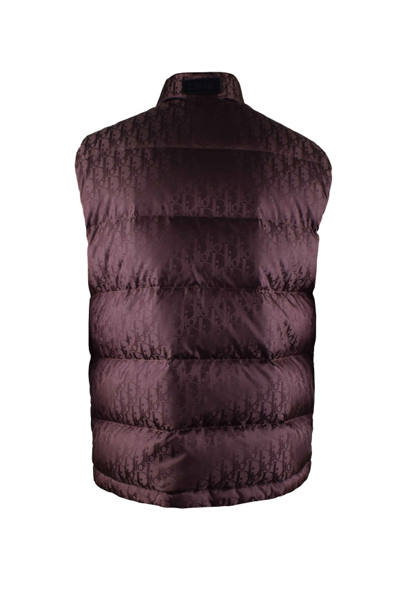 Dior Dior Men Oblique Down Vest