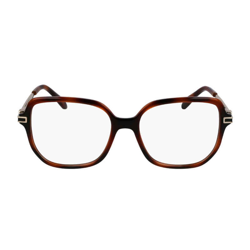 Salvatore Ferragamo ,  Frame and  Lens