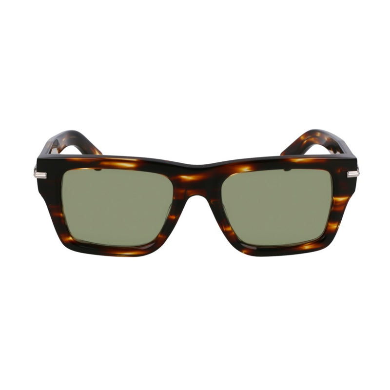 Salvatore Ferragamo ,  Frame and  Lens
