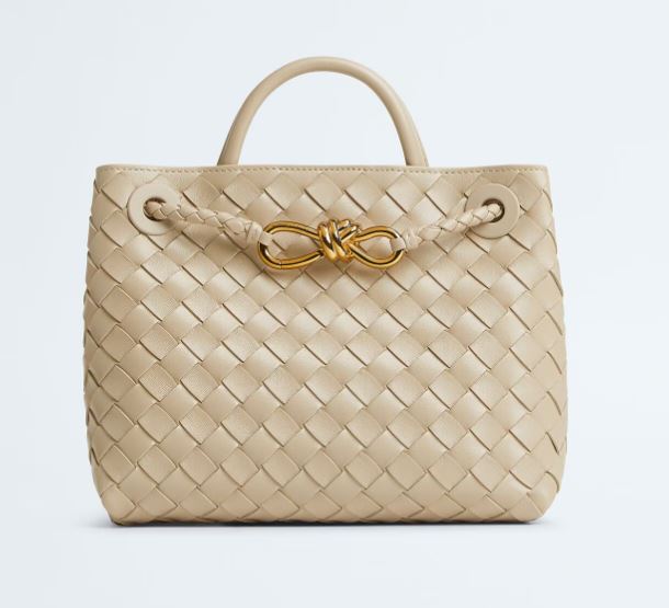 Bottega Veneta Bottega Veneta Women Andiamo Small Bag