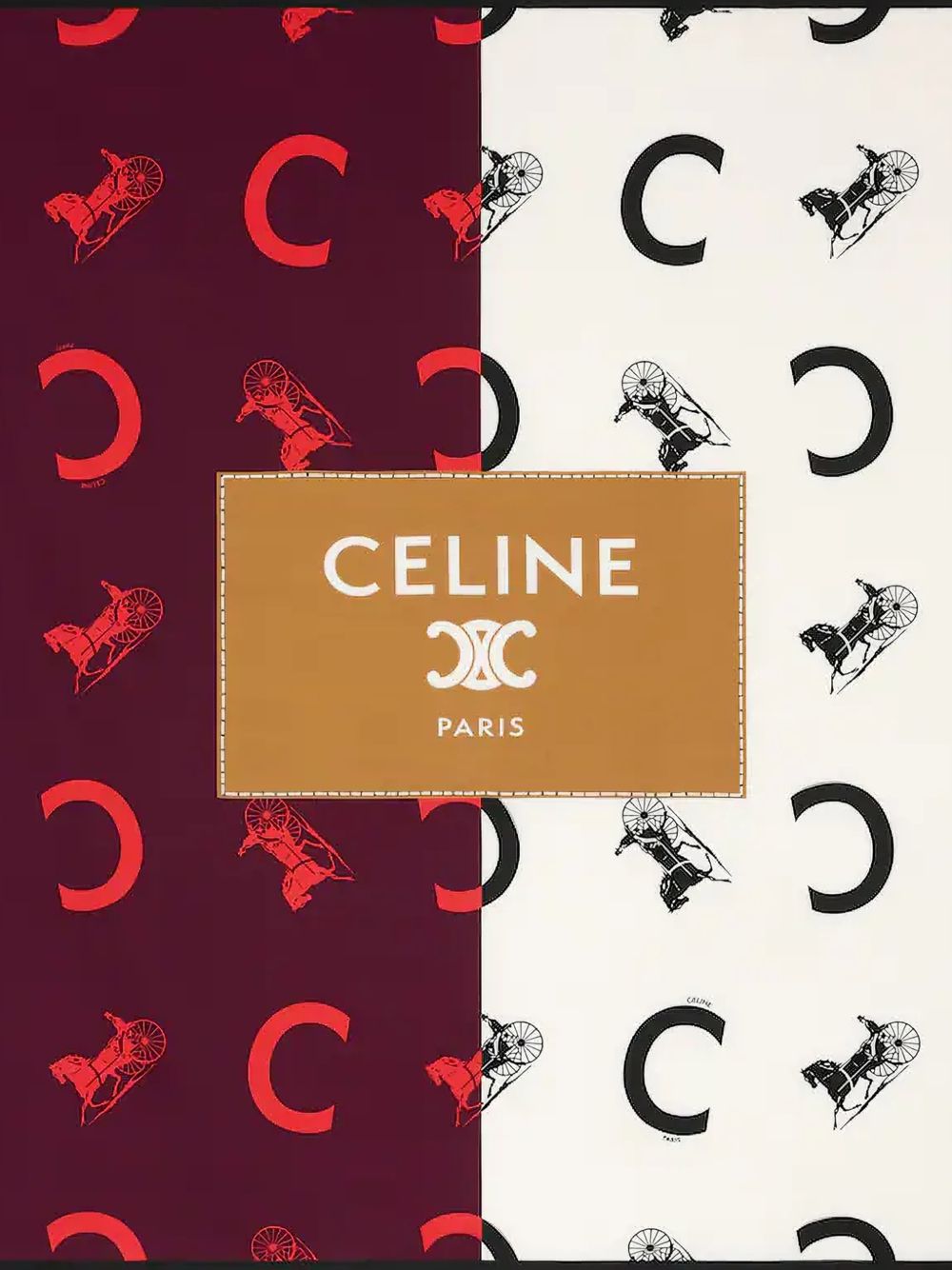 Celine Women Printed Silk Foulard