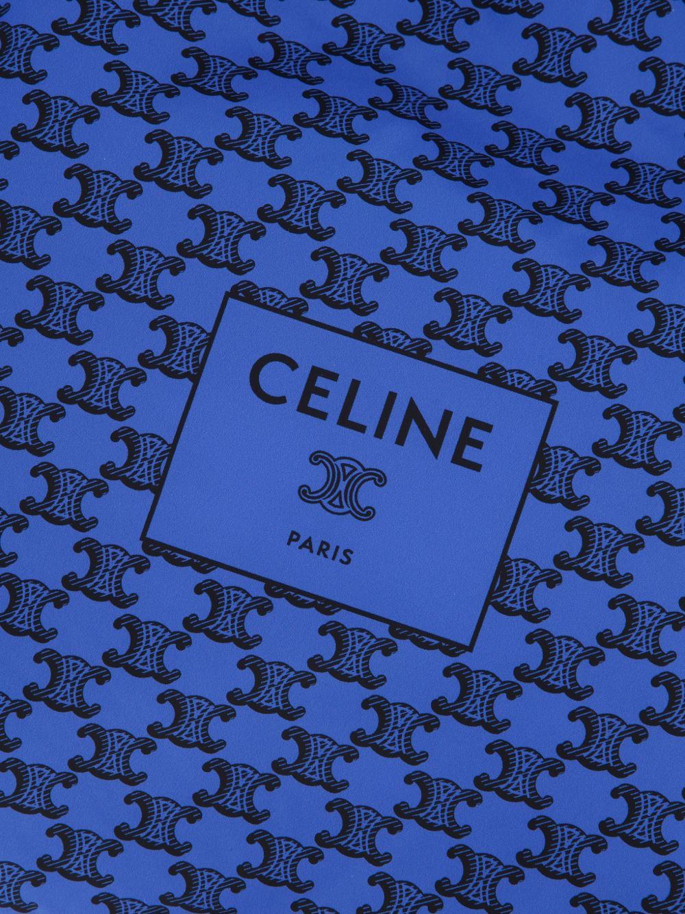 Celine Men Celine Padded Tote Bag
