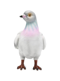 JW ANDERSON Jw Anderson Women Pigeon Clutch