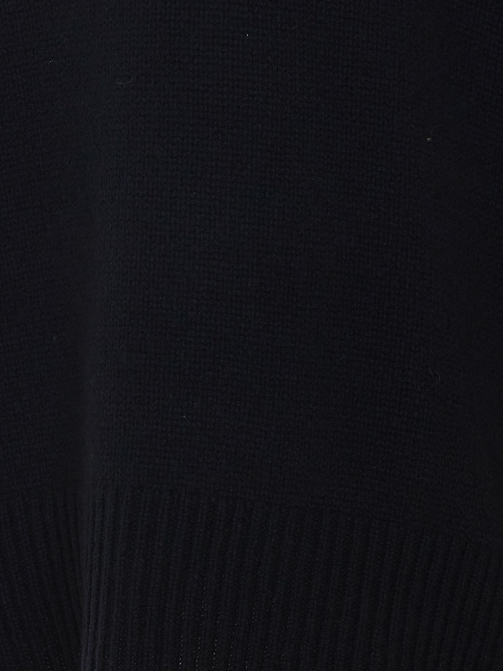 Lisa Yang Women Heidi Cashmere Turtle-Neck Sweater