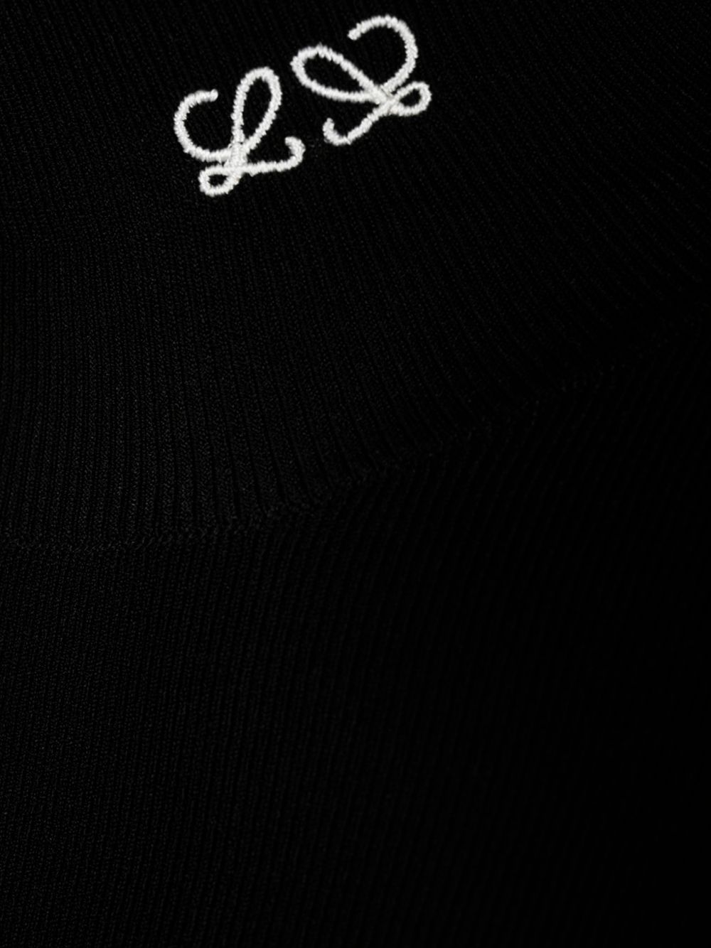 Loewe Women Turtle-Neck Sweater