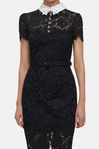 Self-Portrait Self-Portrait Women Black Lace Contrast Collar Midi Dress