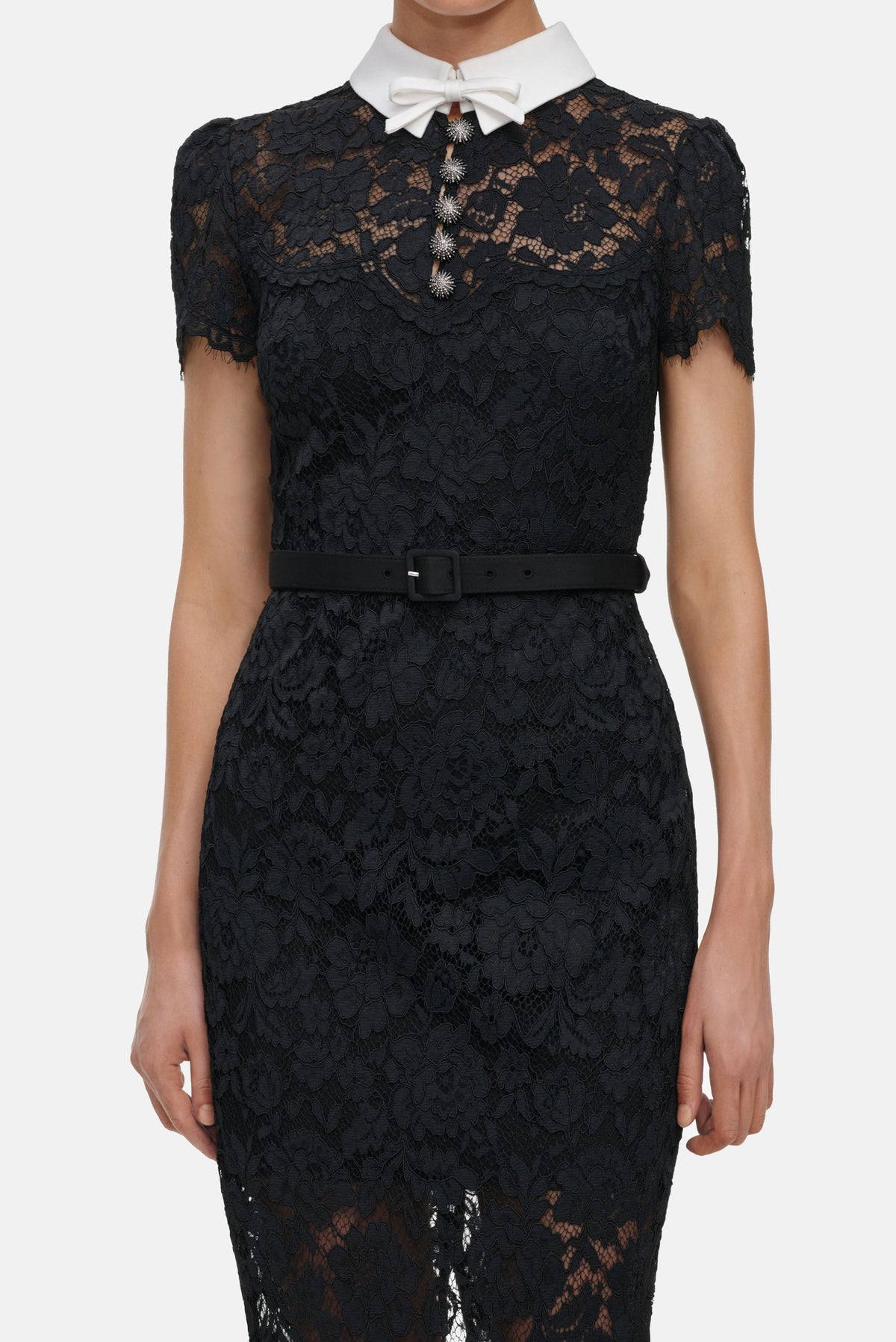 Self-Portrait Self-Portrait Women Black Lace Contrast Collar Midi Dress